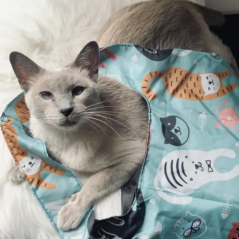 image_beee3bb5-f5b6-496f-9423-3d729bfe923b_1024x1024@2x image_beee3bb5-f5b6-496f-9423-3d729bfe923b_1024x1024@2x