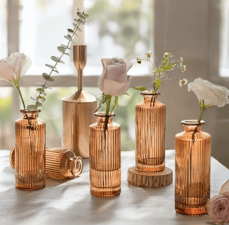 Untitled image-Pacdora (1) (1) Untitled image-Pacdora (1) (1)