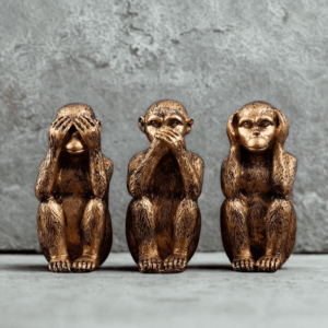 7943a7d3-f548-4c3a-aa6c-d0e0934c7585-300x300 7943a7d3-f548-4c3a-aa6c-d0e0934c7585-300x300