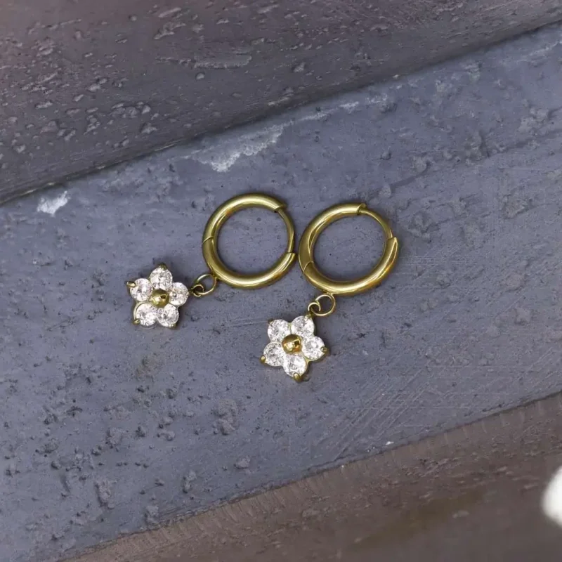 Paloma-fv-3-800x800 Paloma-fv-3-800x800